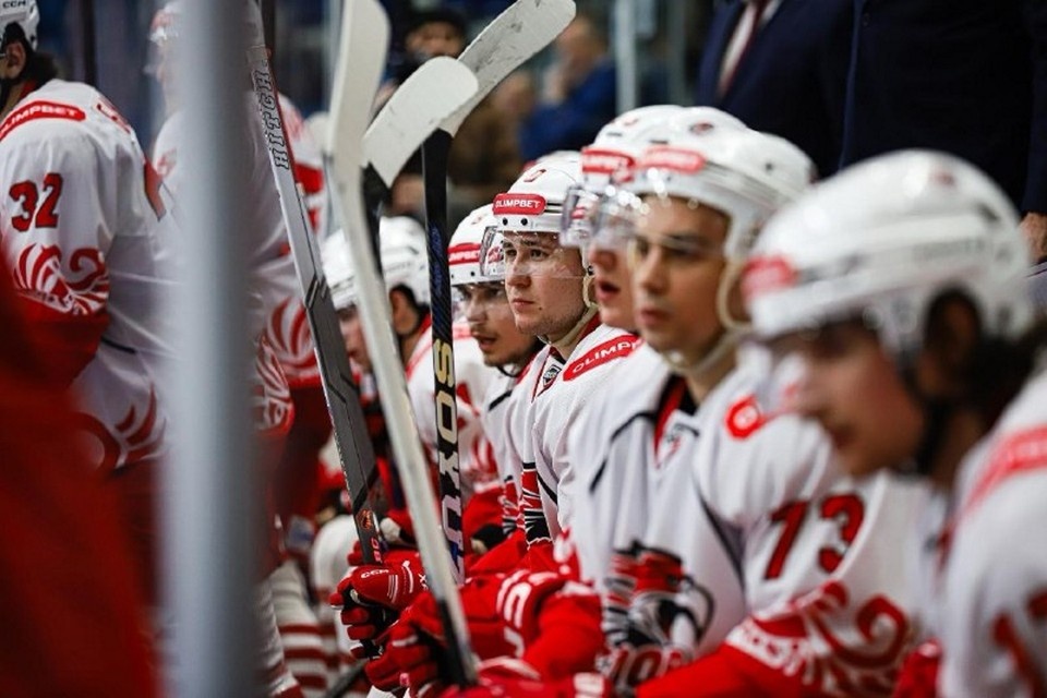    Петицию в поддержку команды подписали больше тысячи человек. Фото: ХК «Ростов»