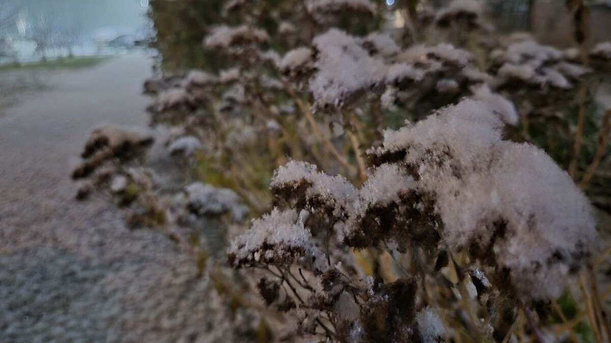    Фото: телеканал «Краснодар»