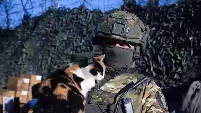 Обложка © SHOT