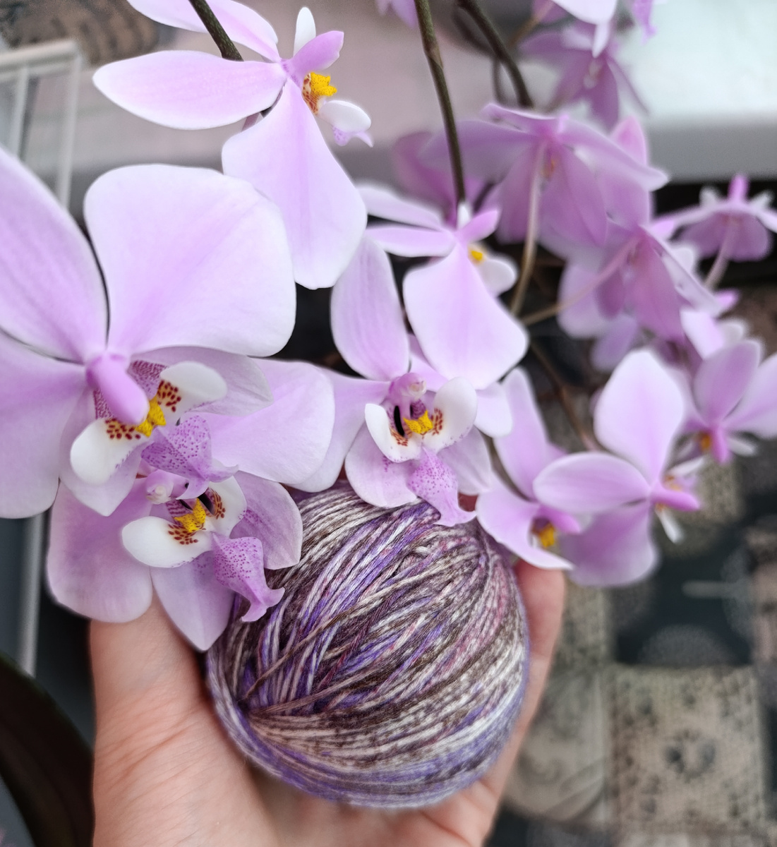 Носочная пряжа Lany  оттенок "лавандовое поле" 