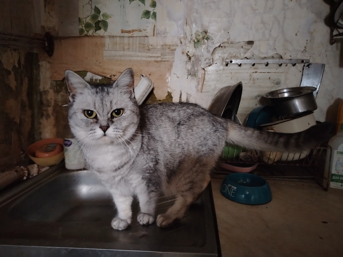 Наша Любочка. Поздравляет и благодарит за заботу! 