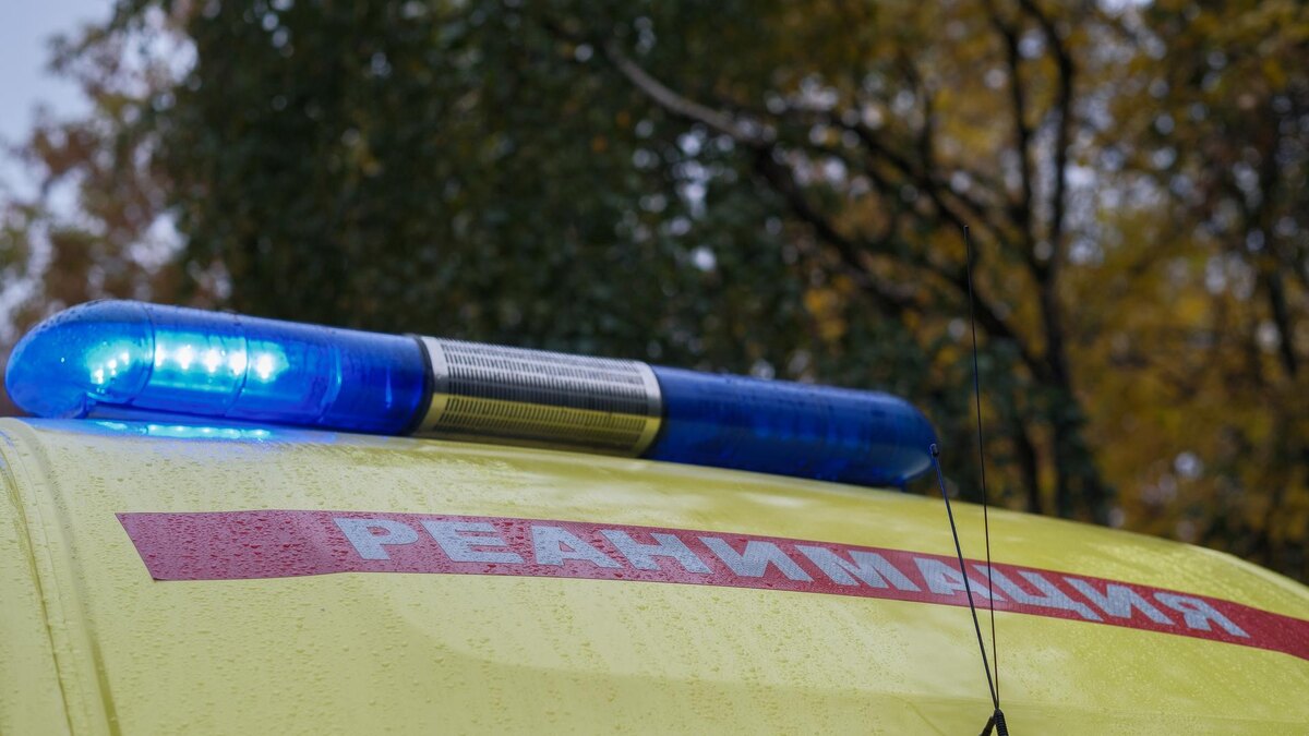    Фото: ИЗВЕСТИЯ/Сергей Виноградов