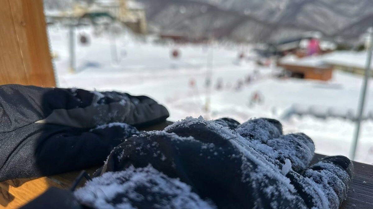    Фото: телеканал «Краснодар»