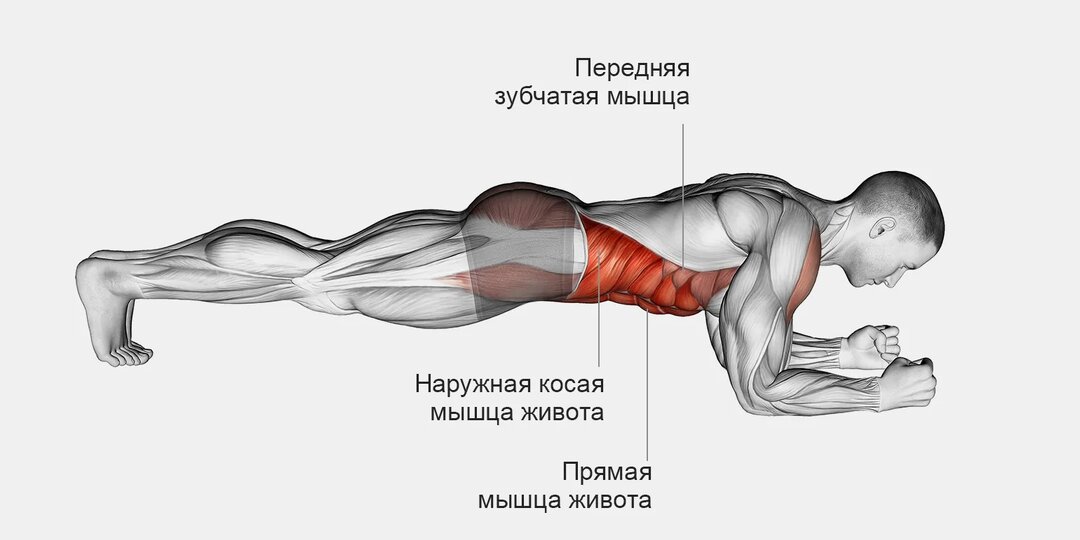 Зачем нужна планка, если есть отжимания? Полный разбор + техника и ошибки