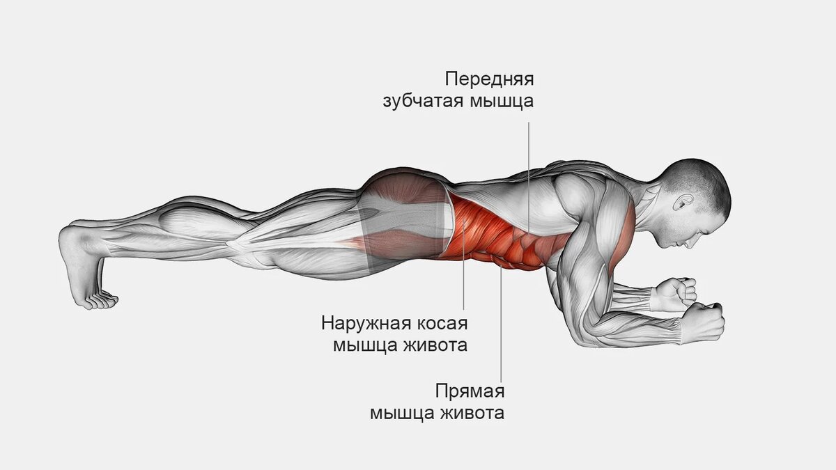 Изображение взято из открытого источника
