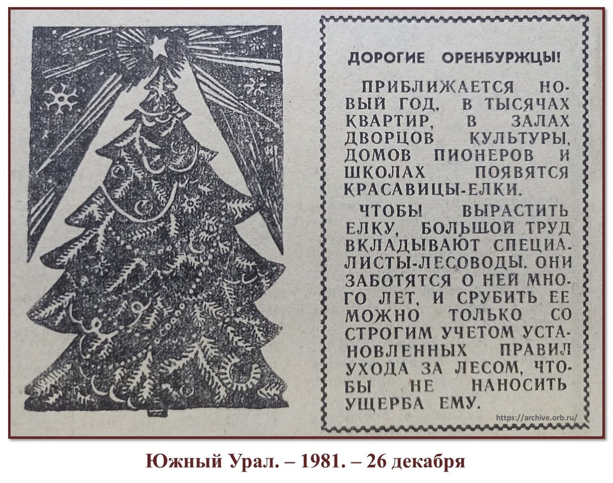    Лес под елку: Как в Оренбургской области защищали хвойные деревья 40 лет назад