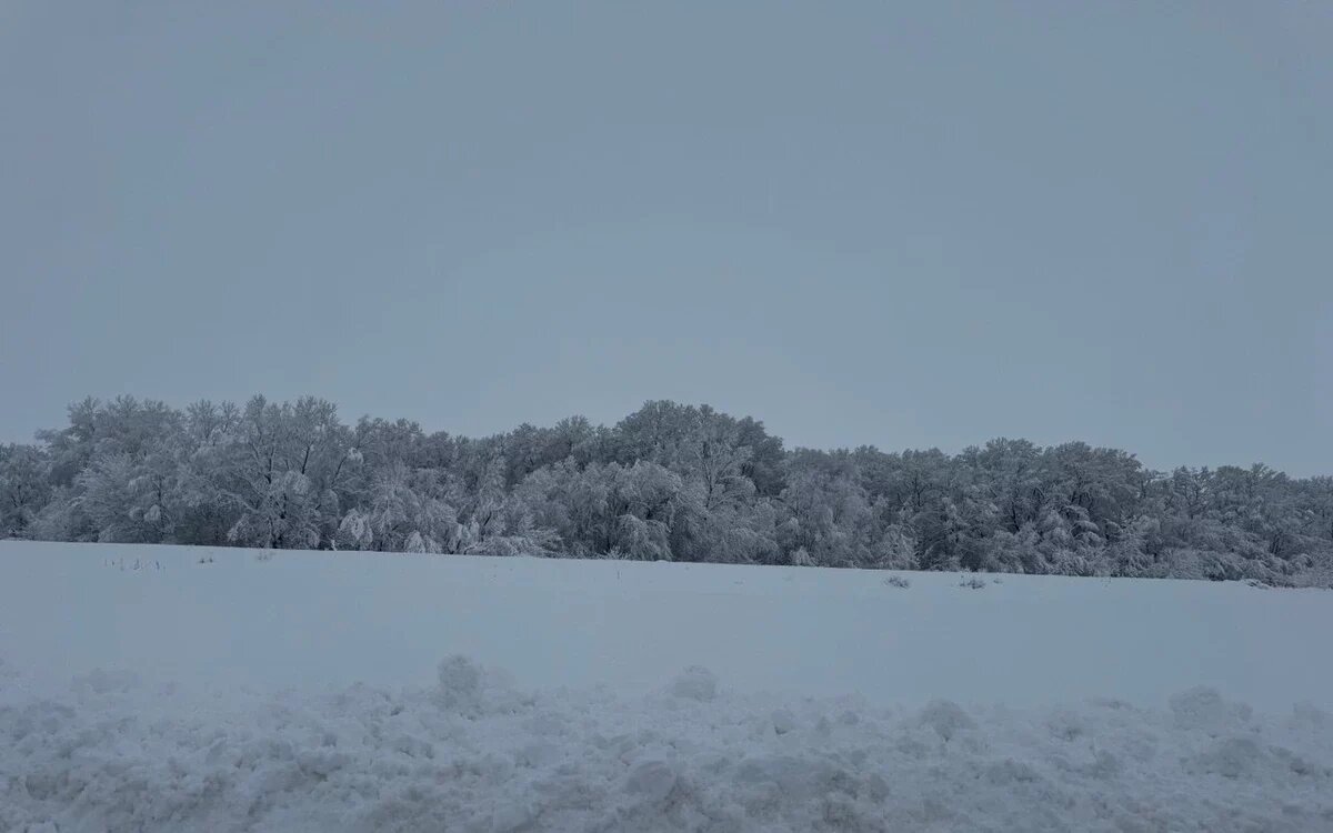    Фото t.me/gibdd123region