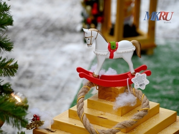     Фото: «МК в Калуге».