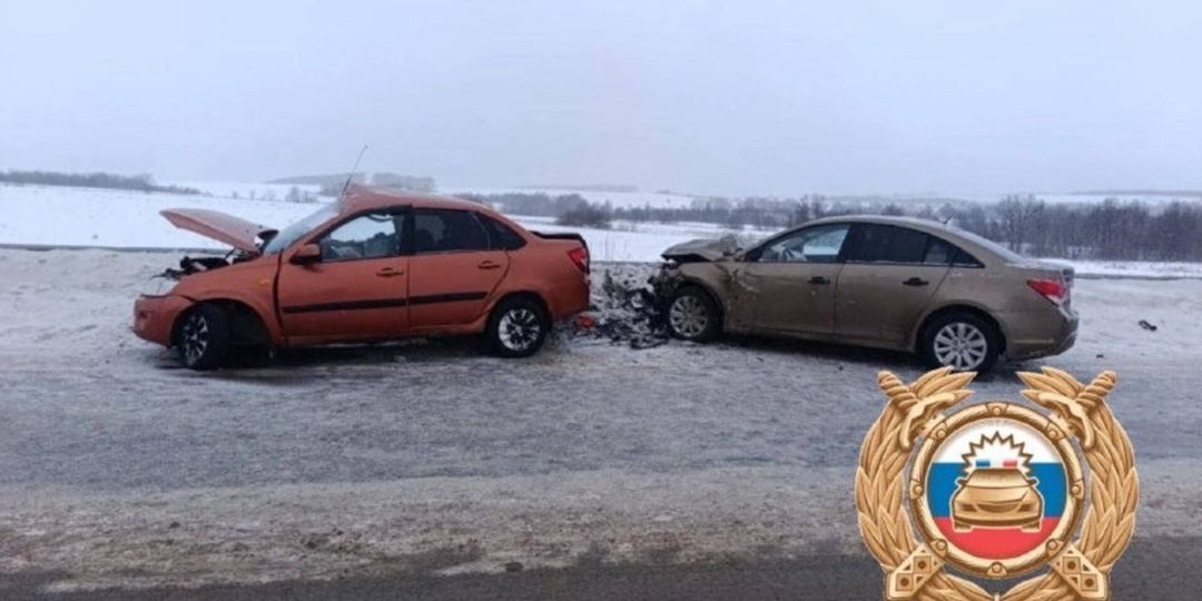 В Башкирии ДТП на трассе унесло жизнь 24-летней девушки