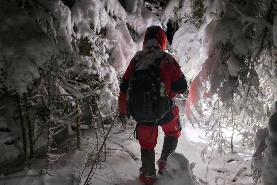    Отца и сына искали около суток. Фото: «ЛизаАлерт»
