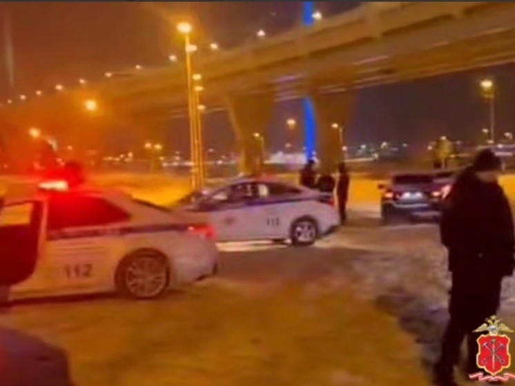     Инспекторы проверили транспортные средства водителей. Фото: скриншот с видео пресс-службы ГУ МВД России по Петербургу и Ленобласти