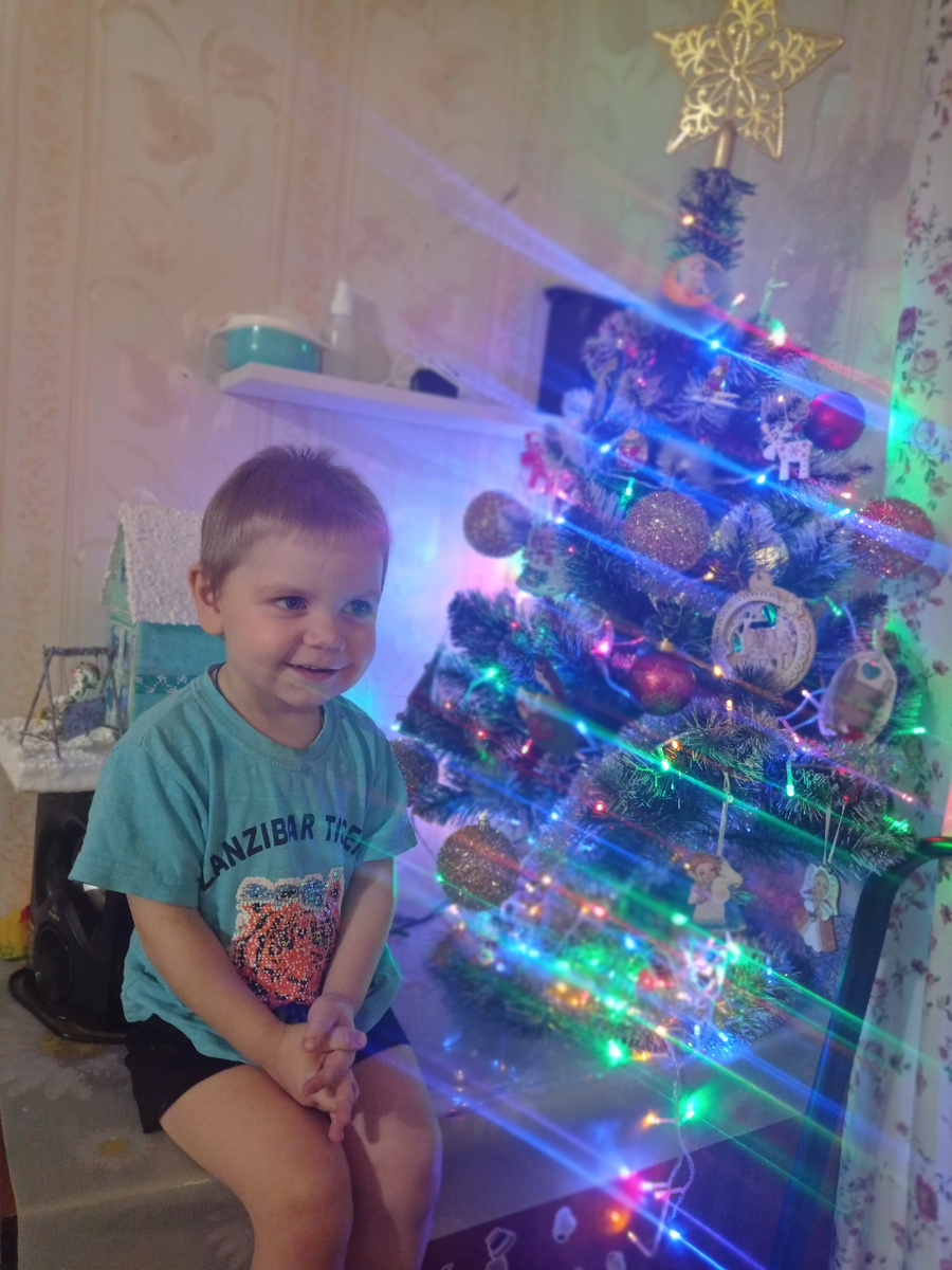 Не утерпели. Достали ёлку и зажгли таки огни! 