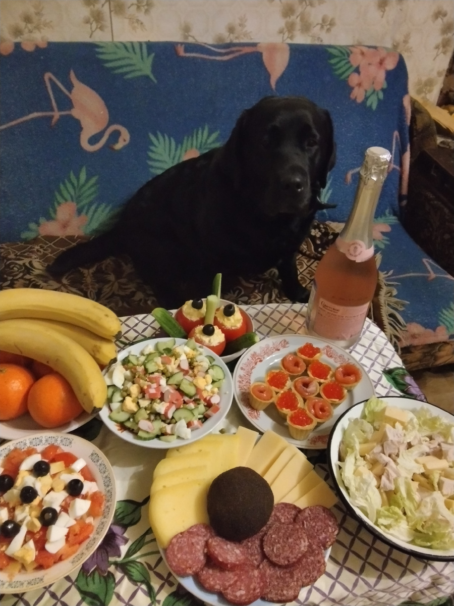 Фото автора.Это я как самая жадная первая прибежала за стол.