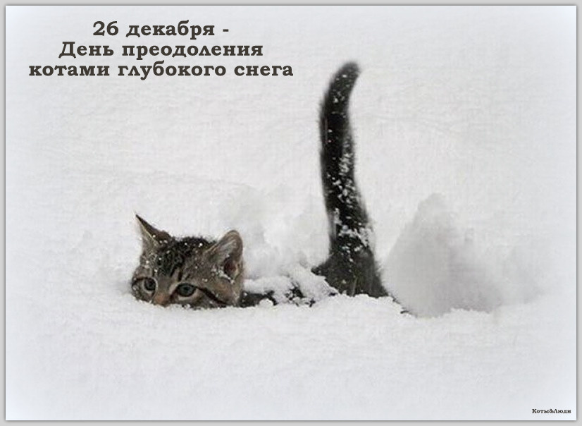 Коллаж автора