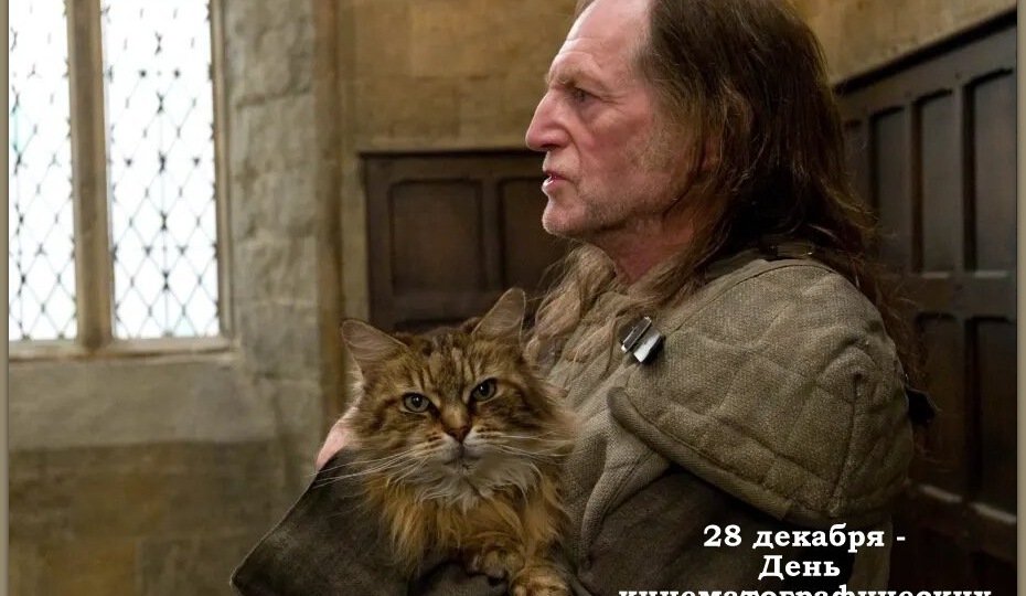 🐾 Кошачий календарь: 28 декабря. День кинематографических кошек
