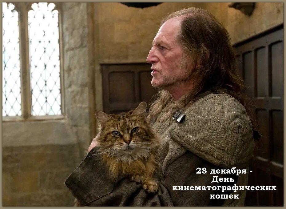 Кошка миссис Норрис из серии фильмов "Гарри Поттер"