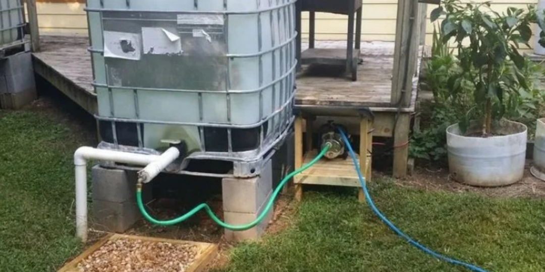 Установил автоматический полив из еврокуба. Забыл про лейки на 15 дней