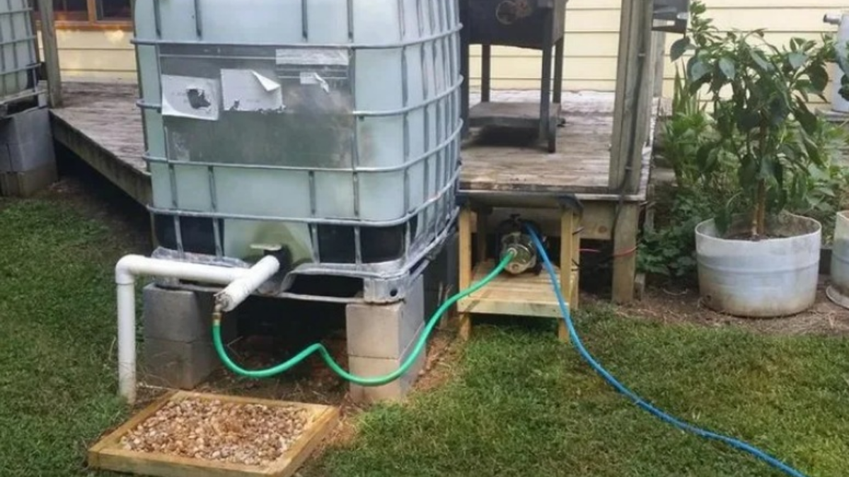 Моя система автоматического полива в действии - никаких леек, все работает само