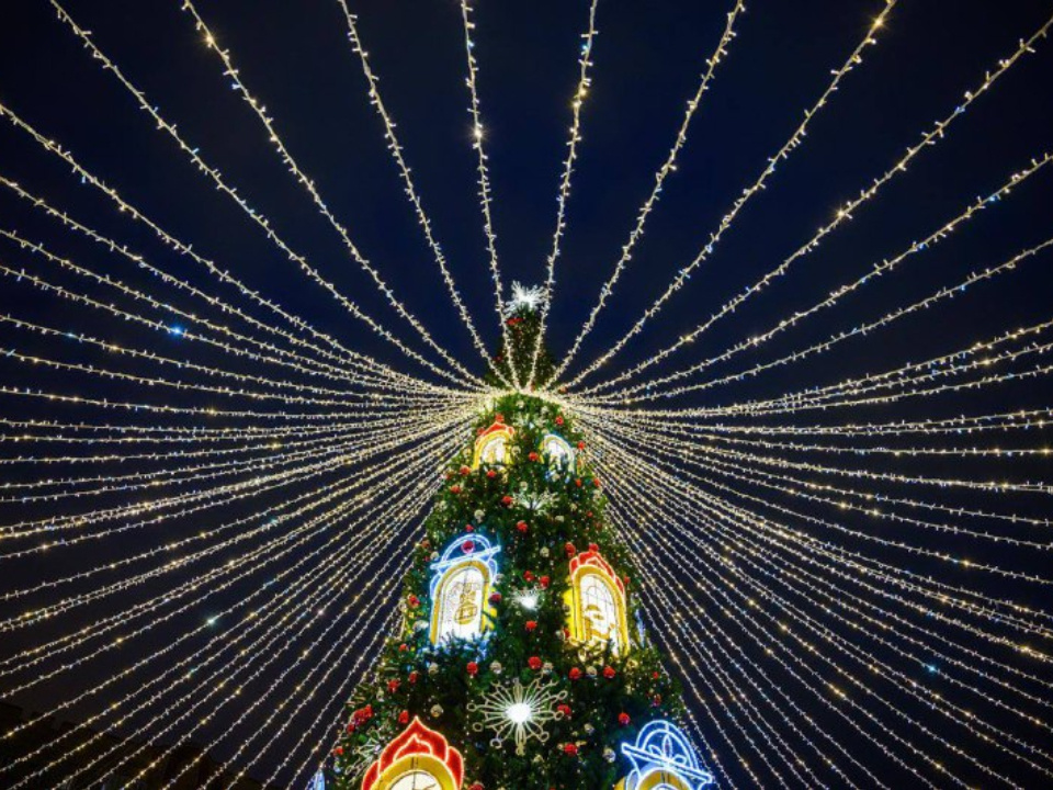    Фото: t.me/vorobiev_live