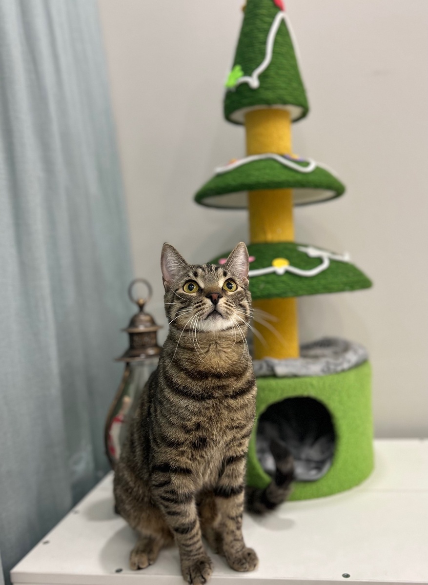 Яша, Лани и Светлана не захотели расставаться друг с другом 💕