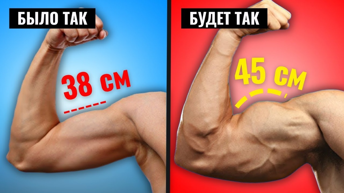 Изображение взято из открытого источника