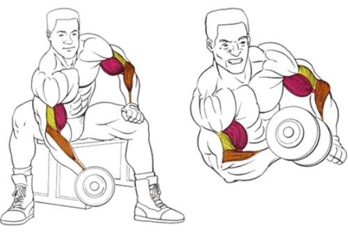 Изображение взято из открытого источника