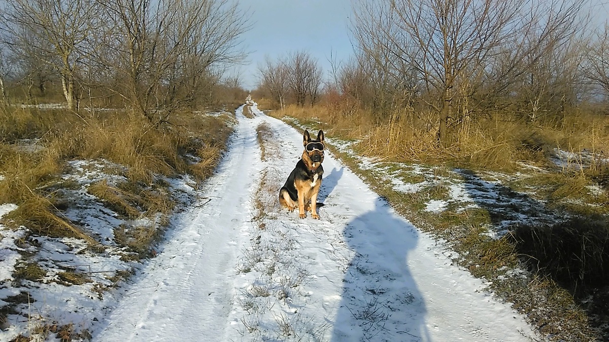 Фото автора