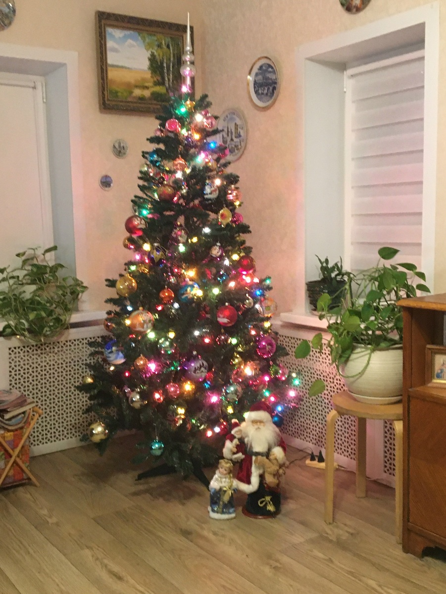 Моя ёлочка. Фото автора