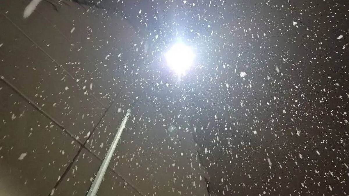    Фото: телеканал «Краснодар»