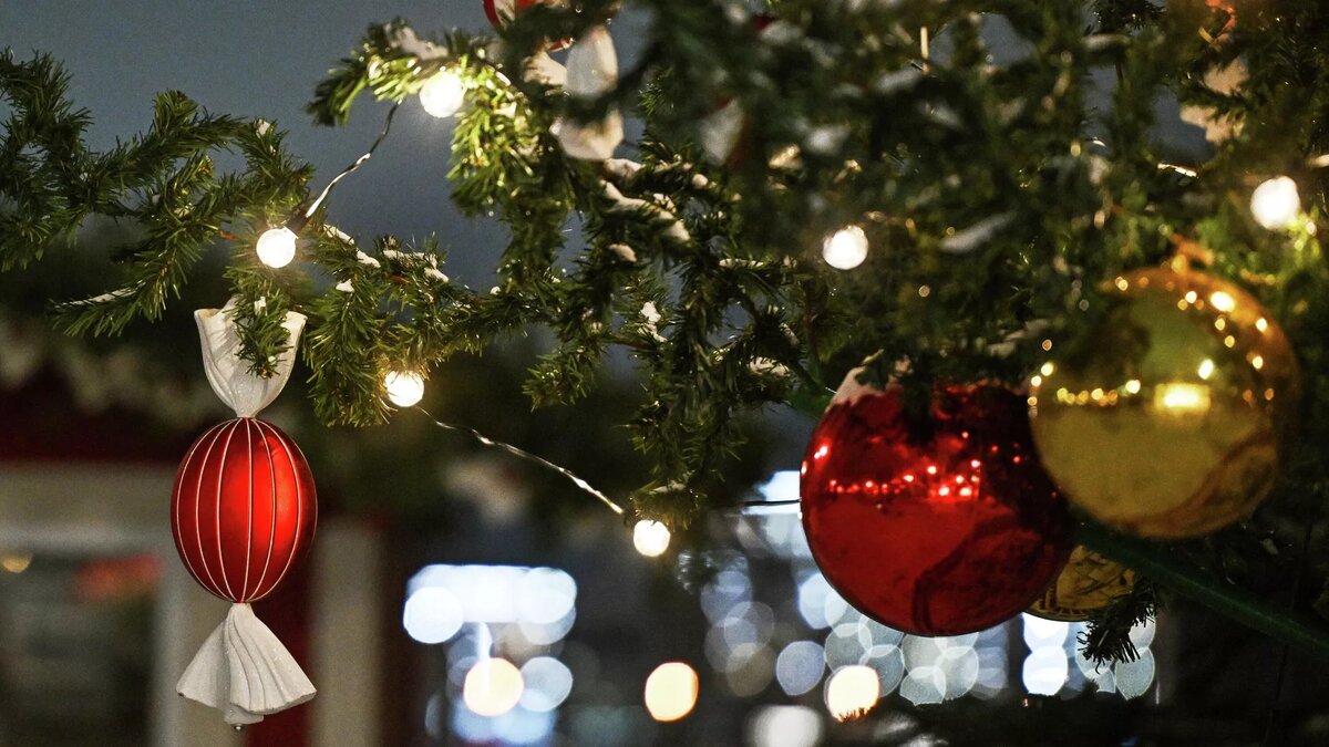 © Sputnik / Максим Богодвид / Перейти в фотобанк