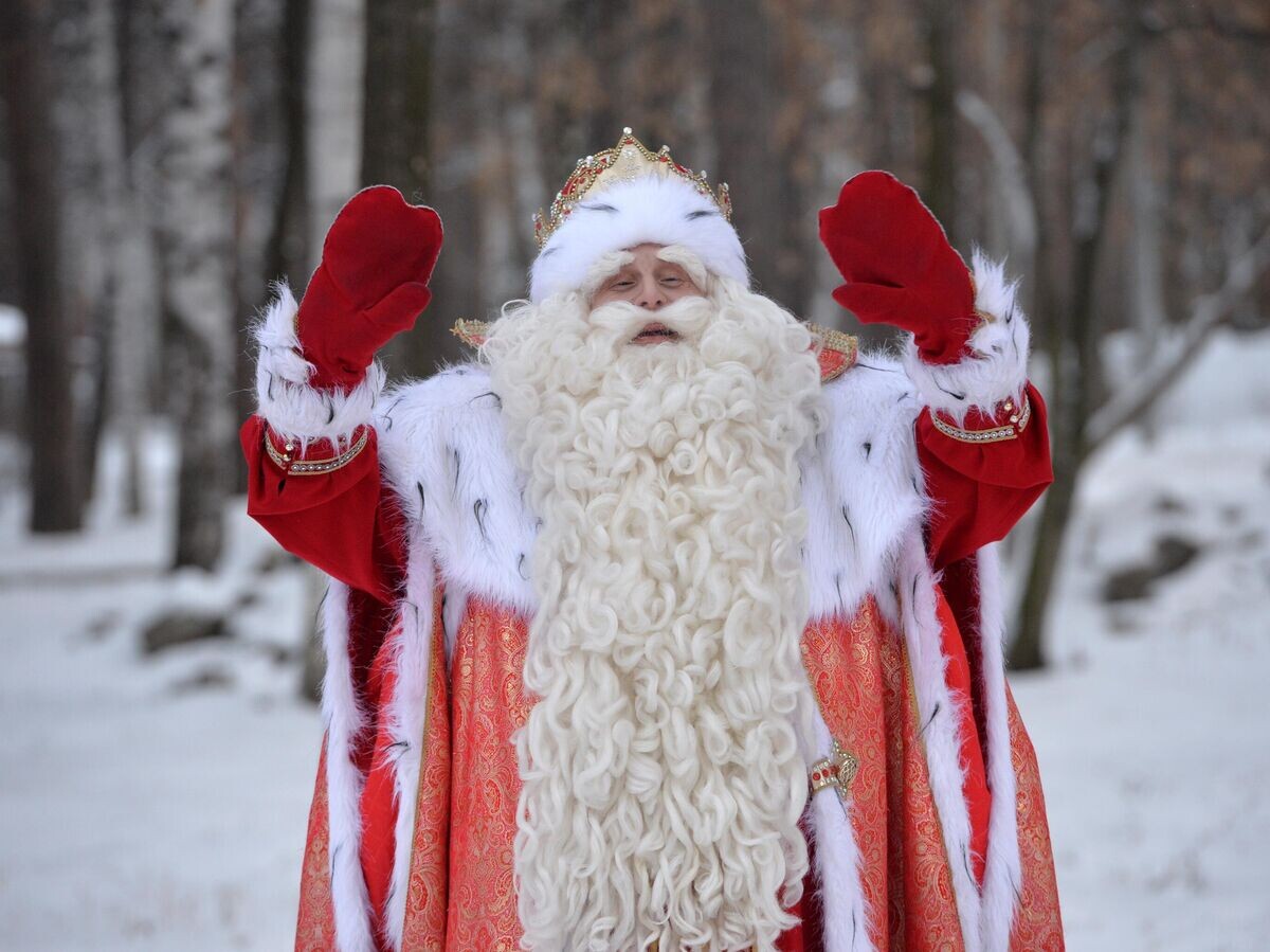    Всероссийский Дед Мороз | © РИА Новости / Павел Лисицын