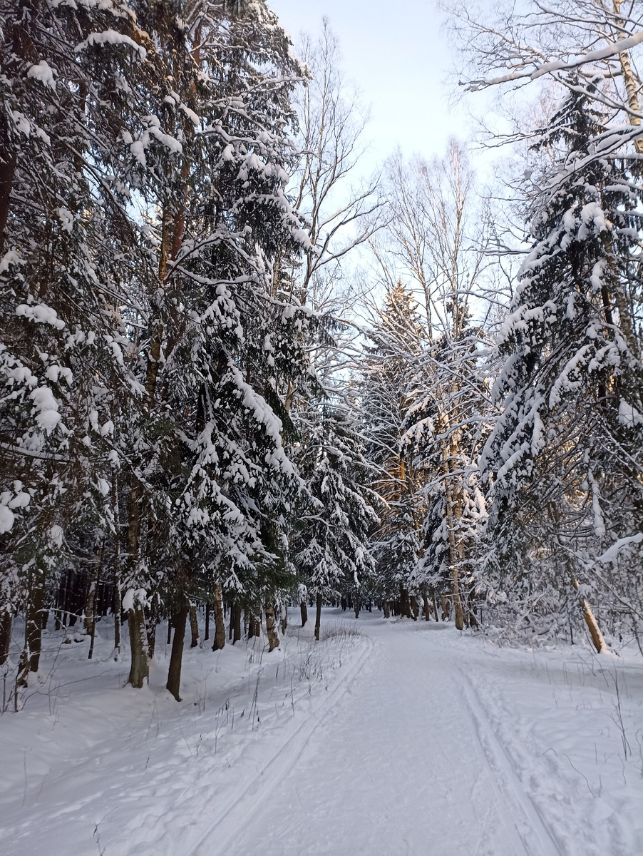 Настоящая зима 