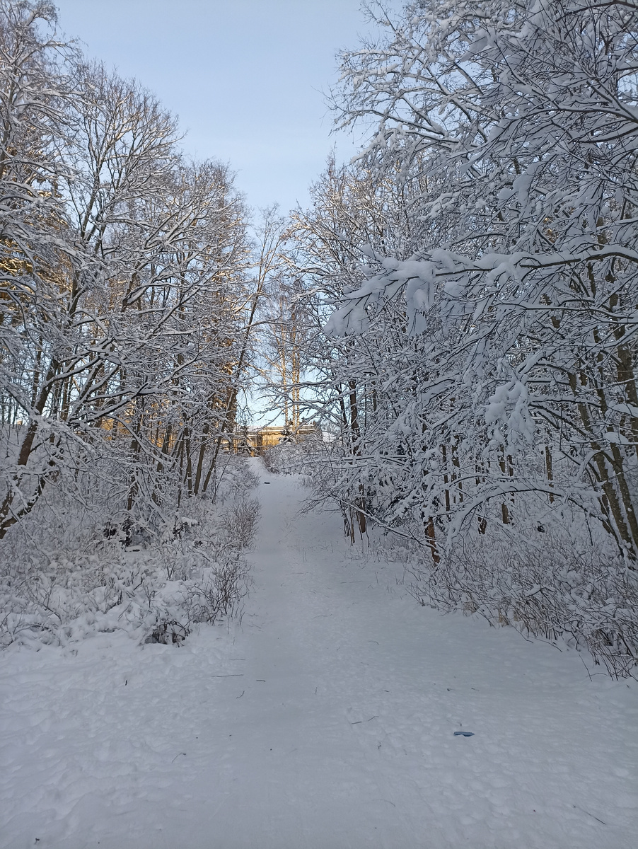 Настоящая зима