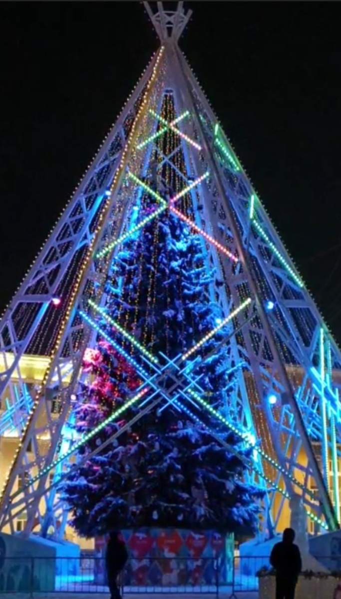 Сыктывкарская красавица 