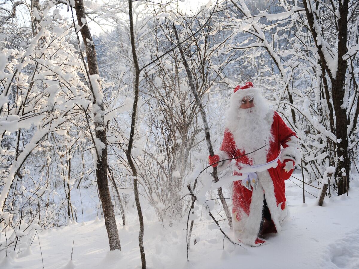    Дед Мороз в зимнем подмосковном лесу | © РИА Новости / Владимир Вяткин