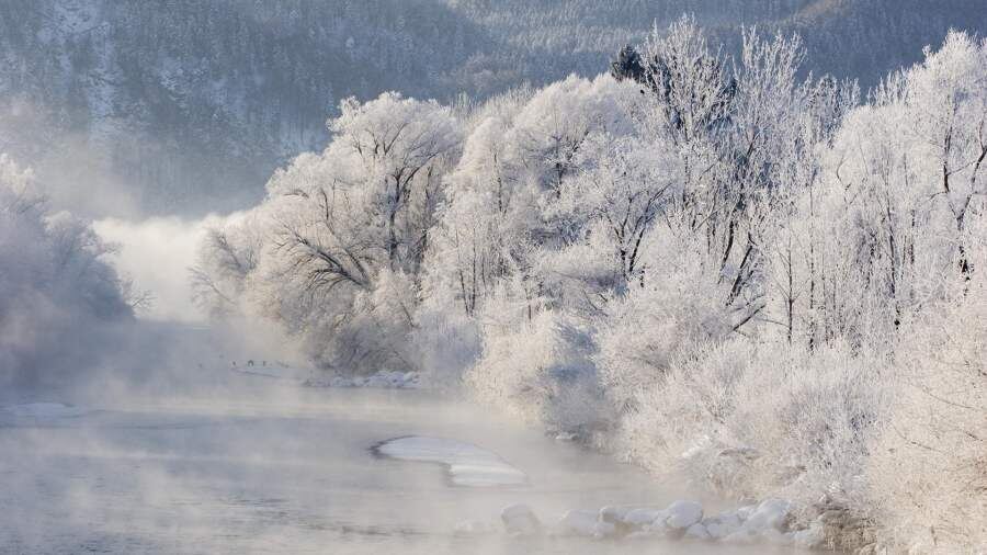    Фото: Global Look Press/Siepmann/imageBROKER.com