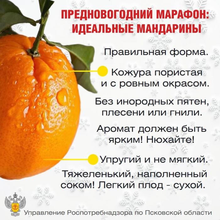 Как выбрать мандарины
Фото: Управление Роспотребнадзора по Псковской области