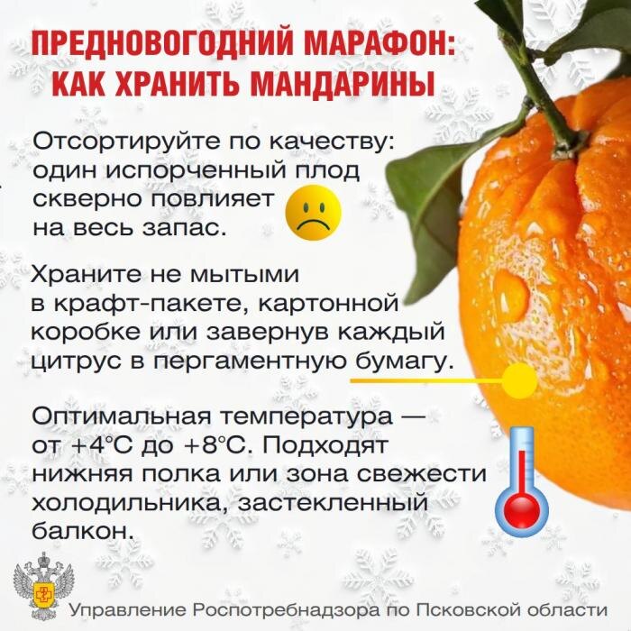 Как выбрать мандарины
Фото: Управление Роспотребнадзора по Псковской области