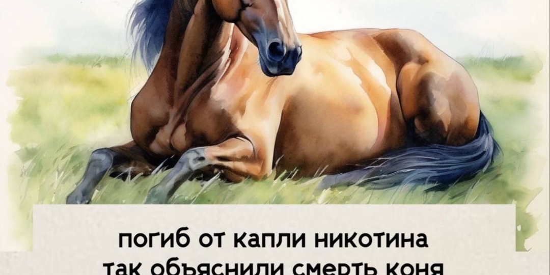 Ну, здравствуй, мой год