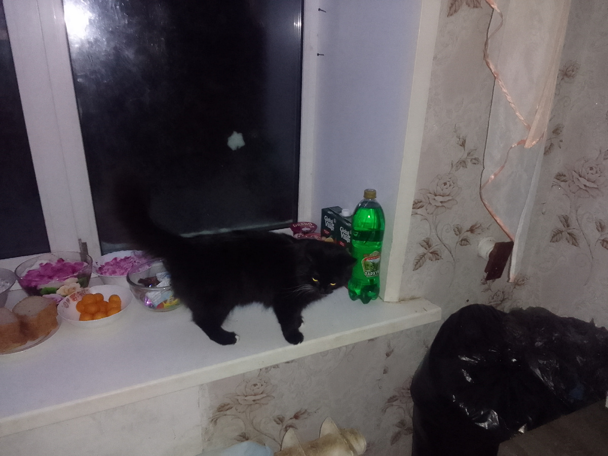 Это Октава после обследования салатов 