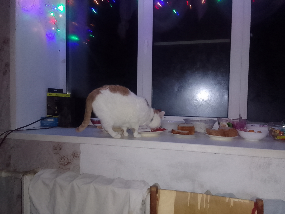 Это Юрка поглощает рыбу