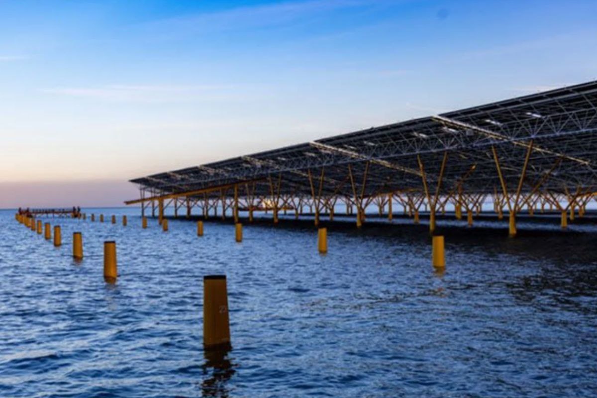    Фото: China State Construction