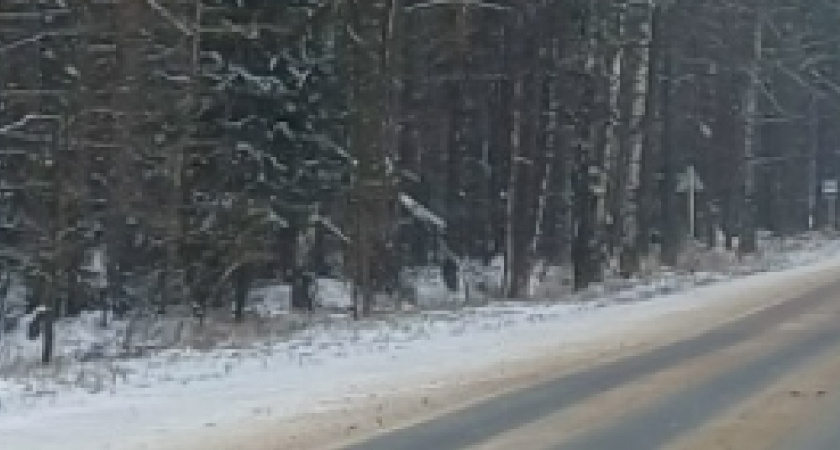    Фото: Пресс-служба министерства транспорта и дорожного хозяйства Владимирской области