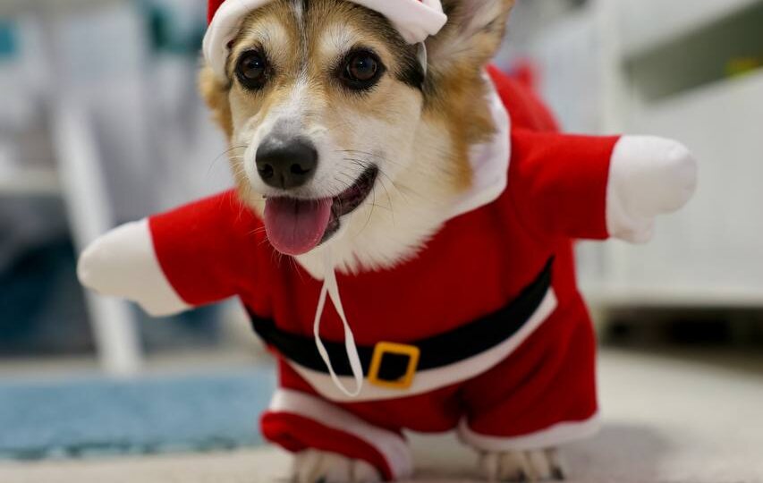 С новым 2026 годом