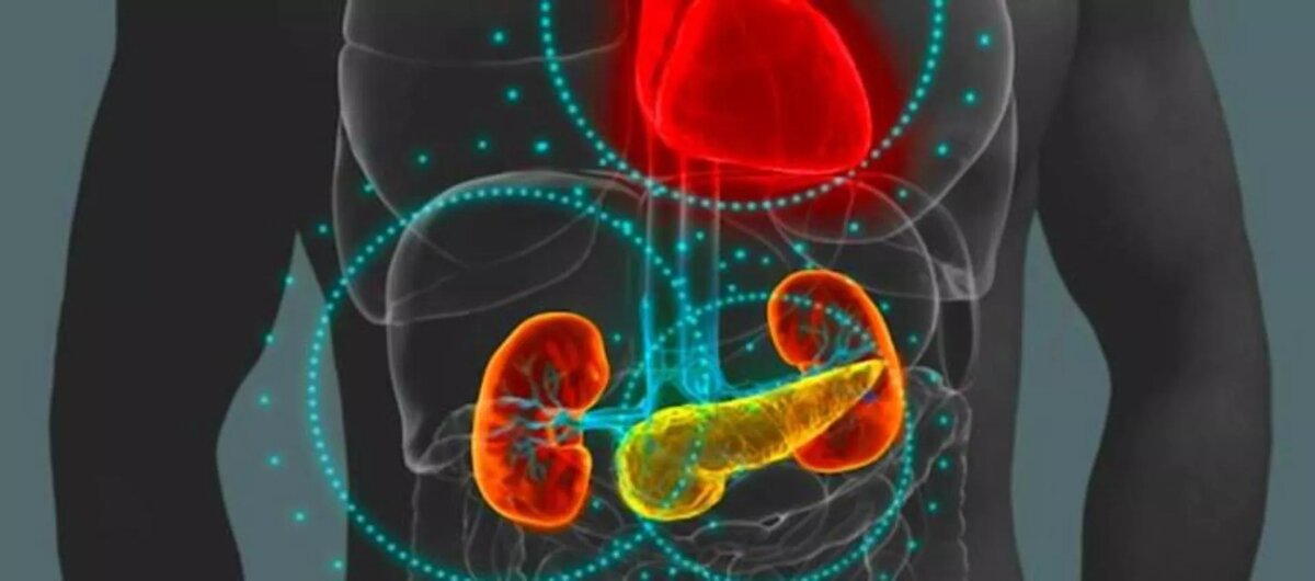 6 симптомов, что обмен веществ дал сбой после праздников (чек-лист)