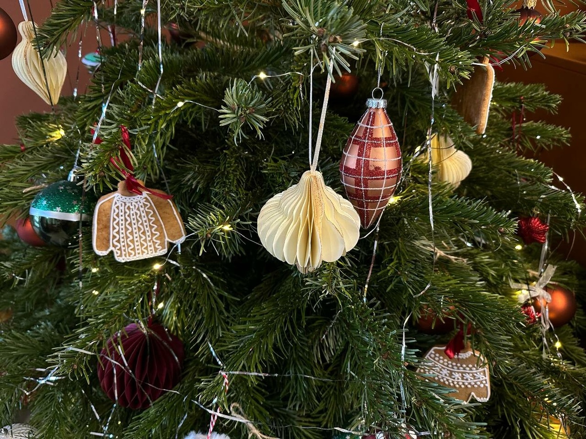     Фото: "Бриф24"