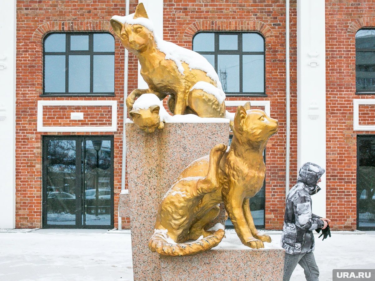     Днем в Тюмени ожидается до -6 градусов