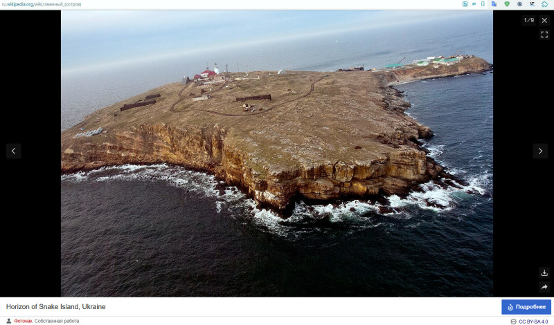    Скриншот: Wikipedia