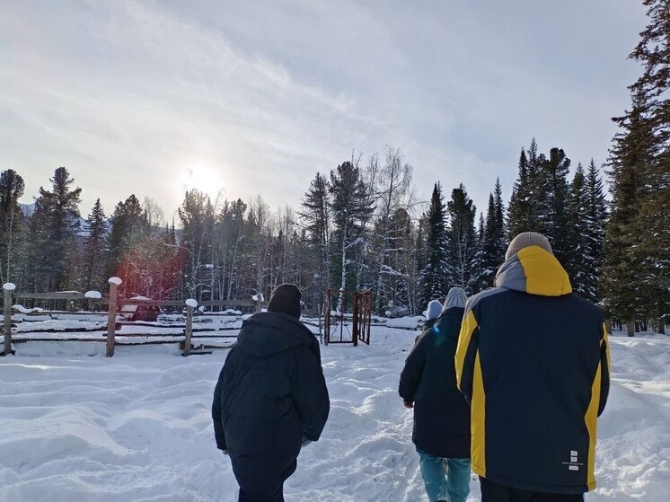     Фото иллюстративное Источник: МК на Алтае/Анастасия Полторацкая