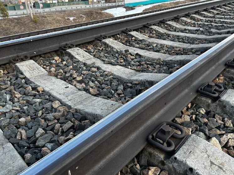     Фото иллюстративное Источник: МК на Алтае/Оксана Исакова